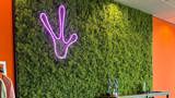 Moss Wall Pledge Alientrick